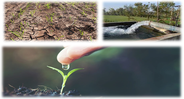 Pakistan’s Water Crisis: The Farmer’s Challenge of Struggling Against Water Scarcity