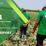 SAWiE Annual Report 2024: A Year of Sustainable Impact and Innovation​