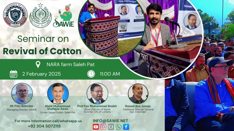 Reviving Cotton in Sindh: SAWiE’s Mission to Empower Farmers