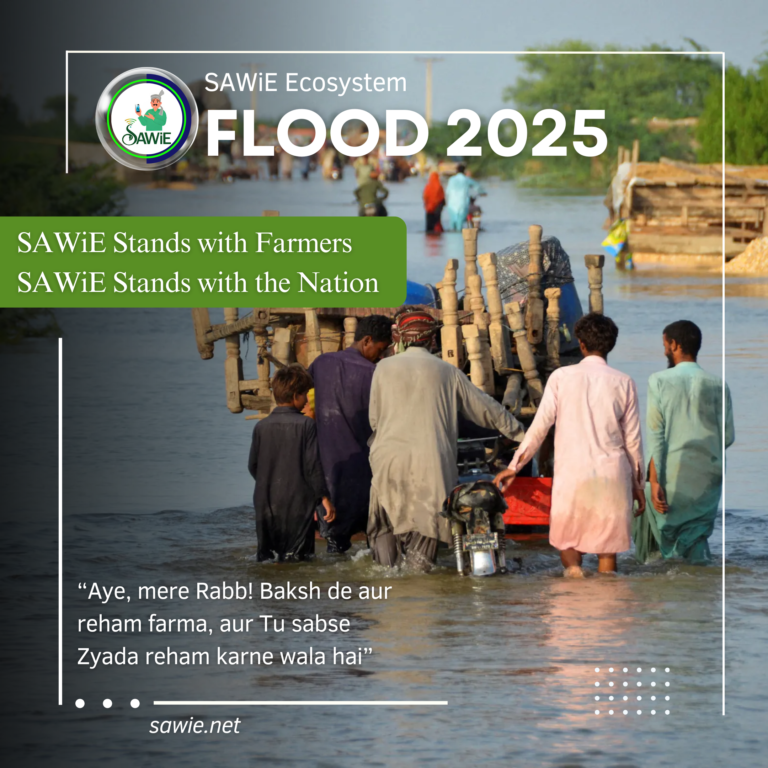 Pakistan Flood Crisis: Rising Waters Leave Millions Affected