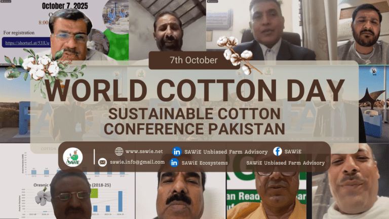 Celebrating World Cotton Day 2025 with SAWiE Ecosystems