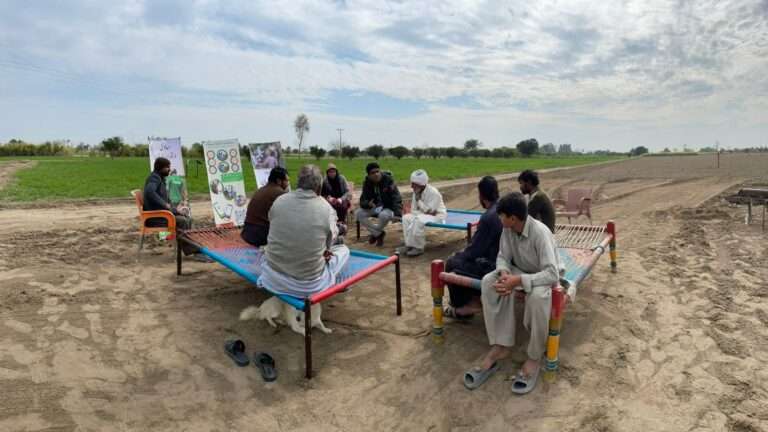 SAWiE Advancing Climate-Smart Villages (CSV) in Collaboration with Bank Alfalah