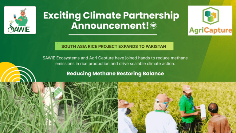 Sustainable Rice Production: Incentivising Farmers, Cutting Methane, Delivering Climate Impact