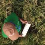 🌾 Rethinking Rice: A Climate-Smart Pathway for Sustainable Rice Production in Pakistan