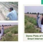 Driving Climate-Smart Agriculture at the Field Level​