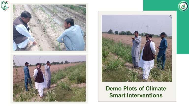 Driving Climate-Smart Agriculture at the Field Level​