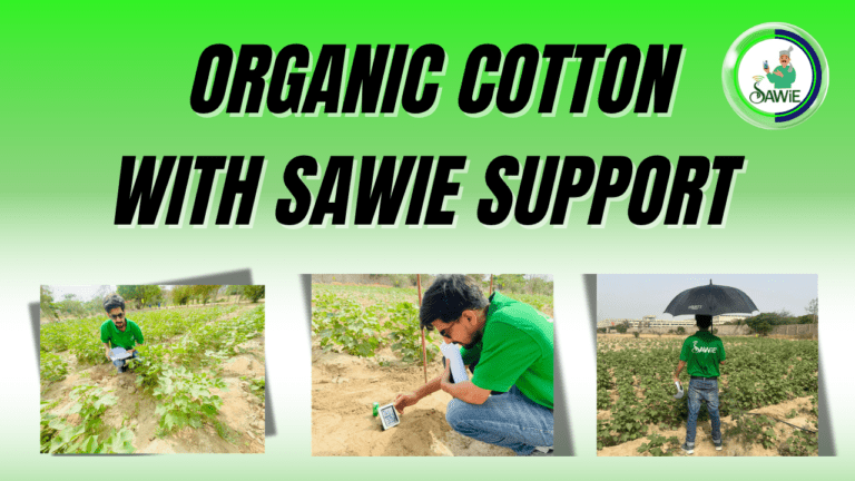 A Story of Change: Organic Cotton with SAWiE Support
