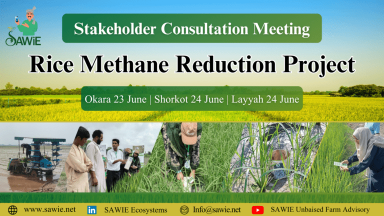 Stakeholder Consultation Meeting