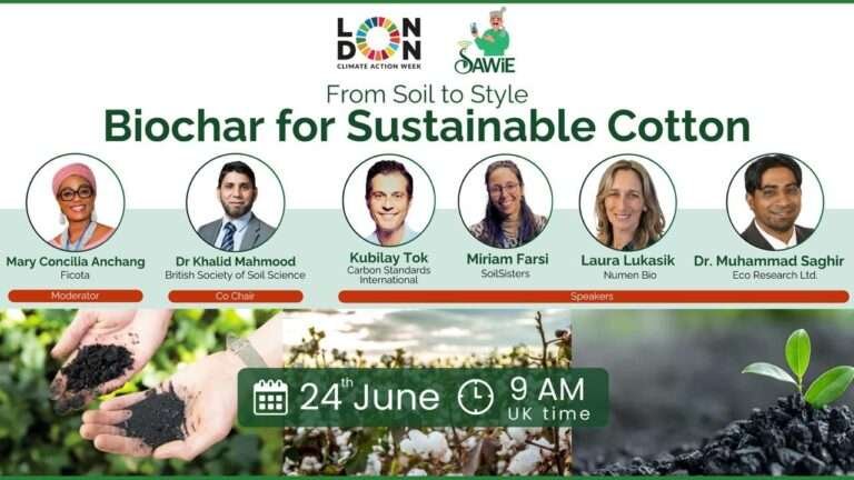 From Soil to Style: Biochar for Sustainable Cotton