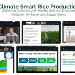 Climate-Smart Rice: From Field to Finance