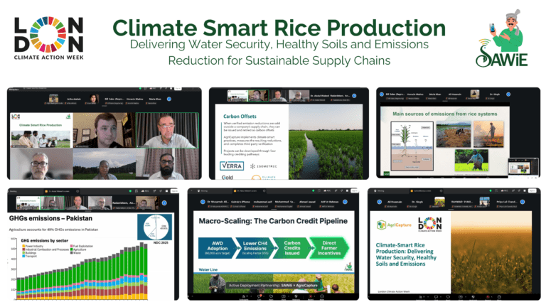 Climate-Smart Rice: From Field to Finance