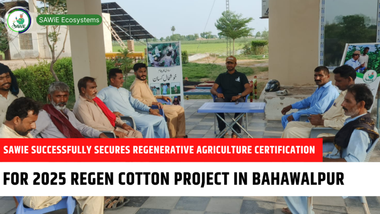 SAWiE Successfully Secures Regenerative Agriculture Certification for 2025 Regen Cotton Project in Bahawalpur