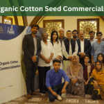 From Organic Cotton Seed to Commercial Scale