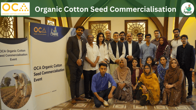 From Organic Cotton Seed to Commercial Scale