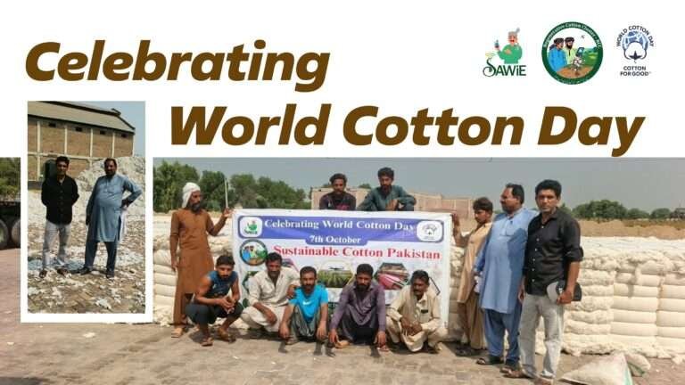 WORLD COTTON DAY