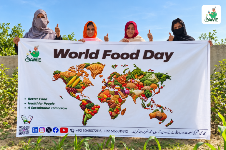 World Food Day
